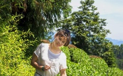 回家的欲望 下载